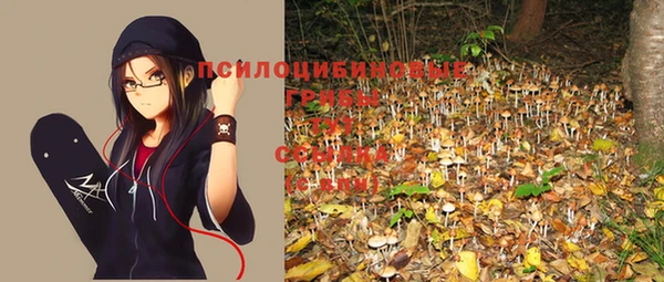 прущая мука Наволоки