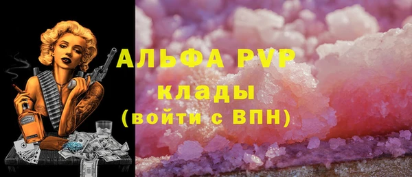 2c-b Надым