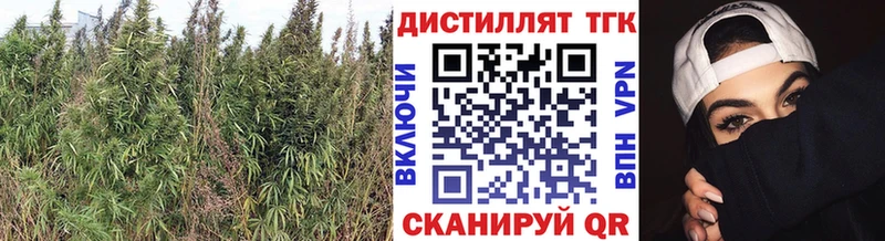 ТГК вейп с тгк  Багратионовск 