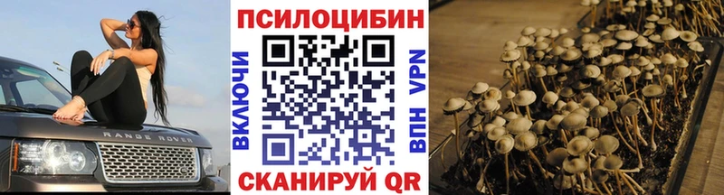 Псилоцибиновые грибы Cubensis  Багратионовск 